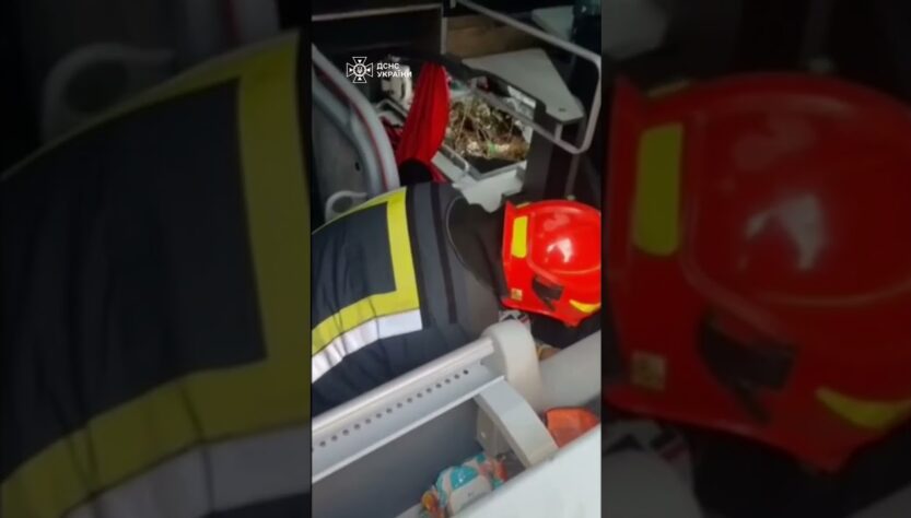 Франківщина. Автобус із 30 пасажирами злетів у кювет: один загиблий, п’ятеро поранених