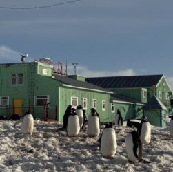 Новини світу - Метеорологи на Вернадському зафіксували кліматичну аномалію