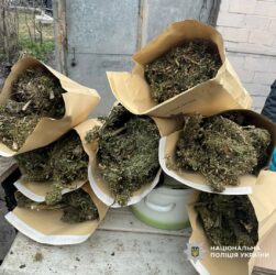 Новини України - На Харківщині у наркозбувачів вилучили понад 10 кг канабісу
