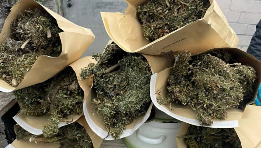 Новини України - На Харківщині у наркозбувачів вилучили понад 10 кг канабісу