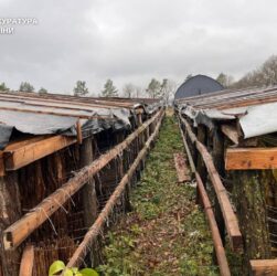Новини України - На Хмельниччині викрили підпільне виробництво тютюну