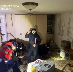 Новини України - На Київщині розслідують загибель понад 50 котів