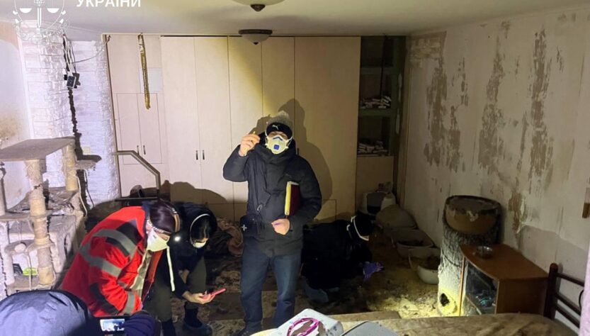 Новини України - На Київщині розслідують загибель понад 50 котів