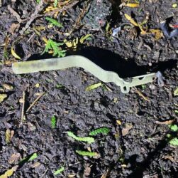 Новини України - На Львівщині в ресторані вибухнула граната