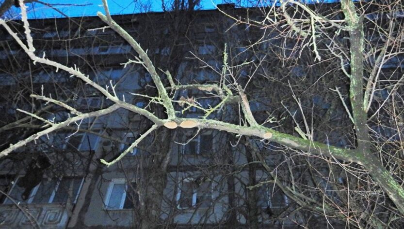 Новини України - Поліціянти розслідують загибель дівчини у заблокованій квартирі Миколаєва