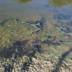 Новини України - Річку в Луганську окупанти перетворили на токсичний колектор - ЦНС