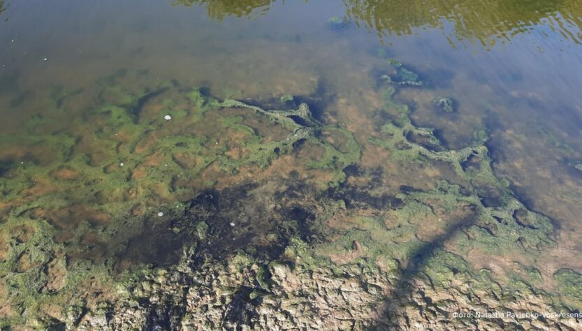 Новини України - Річку в Луганську окупанти перетворили на токсичний колектор - ЦНС