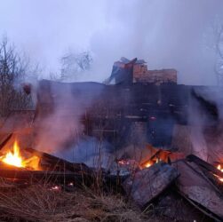 Новини України - Росіяни обстріляли ферму на Чернігівщині: загинули корови