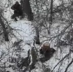 Новини України - Росіяни розстріляли двох полонених на Донеччині