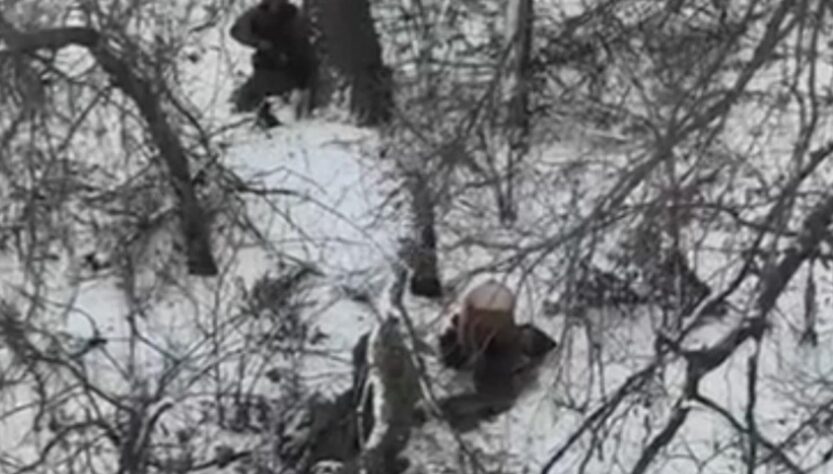 Новини України - Росіяни розстріляли двох полонених на Донеччині