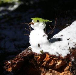 Новини України - Синоптики дали прогноз погоди на січень 2026 року