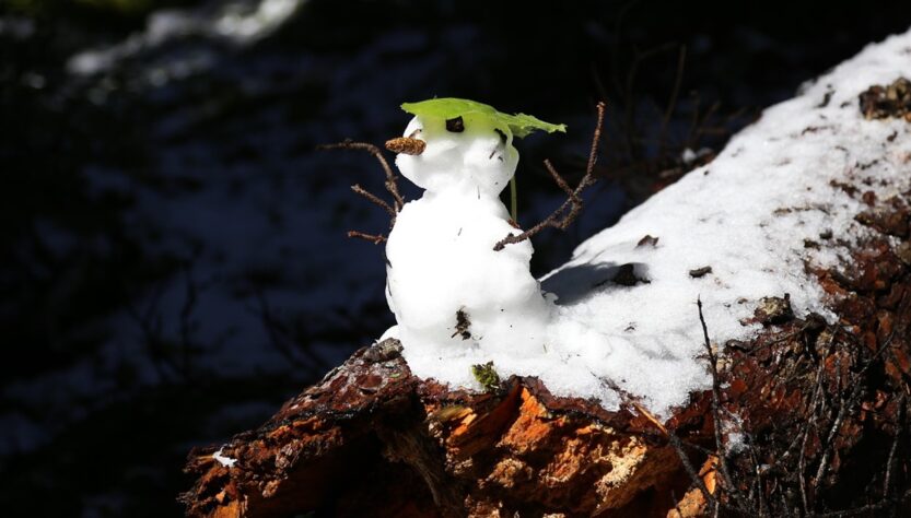 Новини України - Синоптики дали прогноз погоди на січень 2026 року