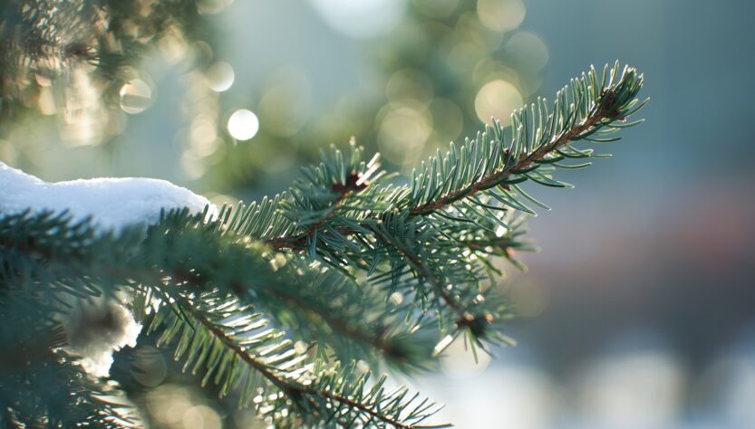 Новини України - Синоптики розповіли про погоду у новорічну ніч в Україні