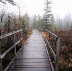 Новини України - Синоптики розповіли, якою буде погода в Україні на вихідних