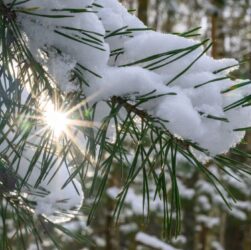 Новини України - Сніг та нічні морози: якої погоди слід очікувати на вихідних