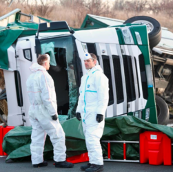 Новини світу - Тисячі курей розбіглися з місця масштабної ДТП у Німеччині