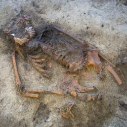 Технології - У Швеції знайшли поховання жінки-вікінга з мушлею в роті