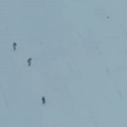 Новини України - У ЗСУ показали знищення окупантів у Гуляйполі