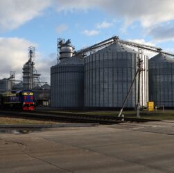 Новини бізнесу - В Україні зібрали майже 60 млн тонн зерна