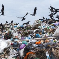 Технології - Вчені оцінили обсяг сміття, що викидається на Землі щороку