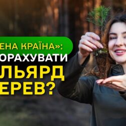 МІЛЬЯРД ДЕРЕВ зʼявився в Україні / як ДП "Ліси України" реалізували програму ЗЕЛЕНА КРАЇНА?