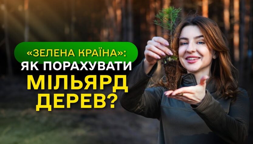 МІЛЬЯРД ДЕРЕВ зʼявився в Україні / як ДП "Ліси України" реалізували програму ЗЕЛЕНА КРАЇНА?