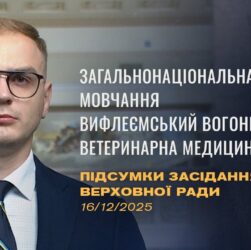 Підсумки засідання Верховної Ради: Законопроєкт про хвилину мовчання, Вифлеємський Вогонь Миру