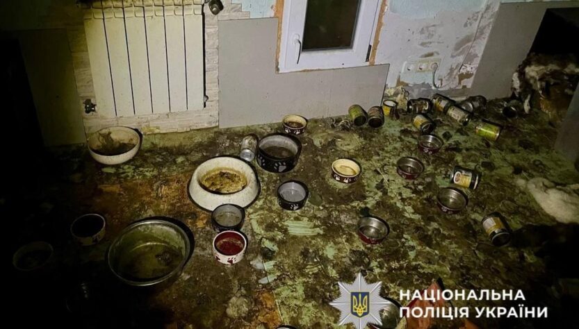 Новини України - Загибель понад 50 котів на Київщині: стали відомі нові деталі