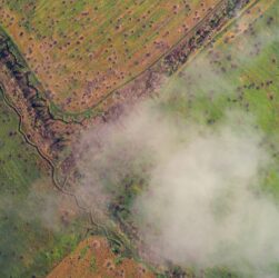 Новини світу - Збитки довкіллю від війни перевищили ₴6 трильйонів