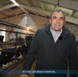 ARISE: Історії стійкості – відеопроєкт про результати підтримки українського бізнесу