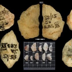 Технології - Археологи знайшли найдавнішу отруйну зброю людства віком 60 тис років