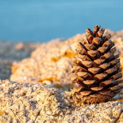 Новини культури - Гороскоп для всіх знаків зодіаку на 13 січня 2026 року