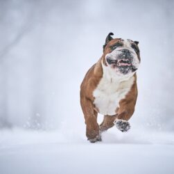 Новини культури - Гороскоп для всіх знаків зодіаку на 15 січня 2026 року