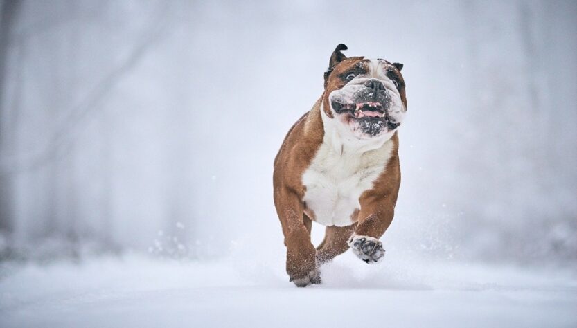 Новини культури - Гороскоп для всіх знаків зодіаку на 15 січня 2026 року