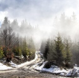 Новини культури - Гороскоп для всіх знаків зодіаку на 16 січня 2026 року