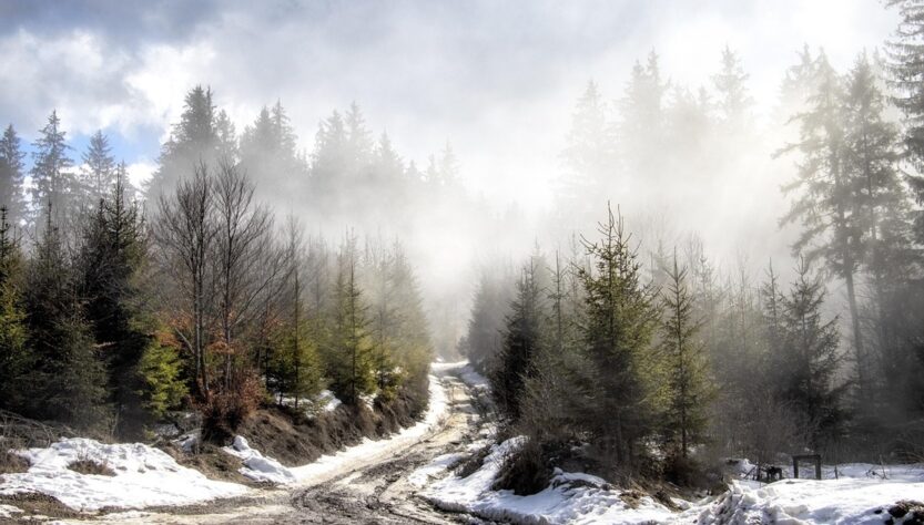 Новини культури - Гороскоп для всіх знаків зодіаку на 16 січня 2026 року