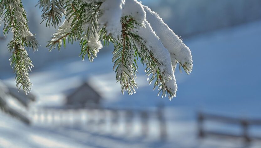 Новини культури - Гороскоп для всіх знаків зодіаку на 9 січня 2026 року