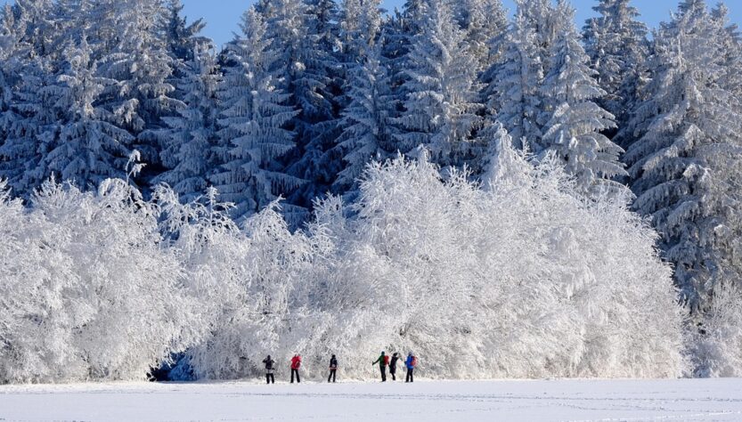 Новини культури - Гороскоп для всіх знаків зодіаку на вихідні 10-11 січня 2026 року
