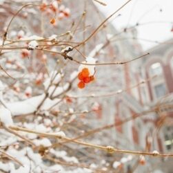 Новини бізнесу - Нацбанк знову зміцнив курс гривні