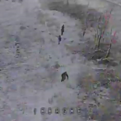 Новини України - Прикордонники завадили окупантам прорвати держкордон на Харківщині