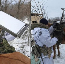 Новини світу - Російські військові причепили Starlink до коня