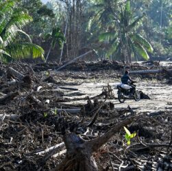 Новини світу - Руйнівна повінь на півночі Індонезії призвела до загибелі 14 осіб