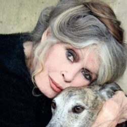 Новини культури - Стало відомо про важку хворобу Бріжит Бардо перед смертю