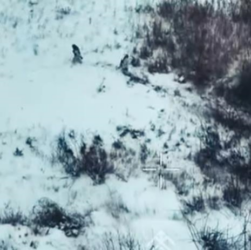 Новини України - ЗСУ показали відбиття російського штурму на Харківщині