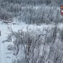 Новини України - ЗСУ показали знищення роботизованних комплексів росіян